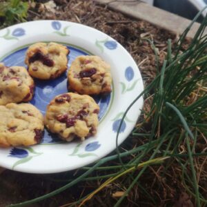 Les cookies (du Monde)
