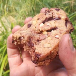 Les cookies (du Monde)